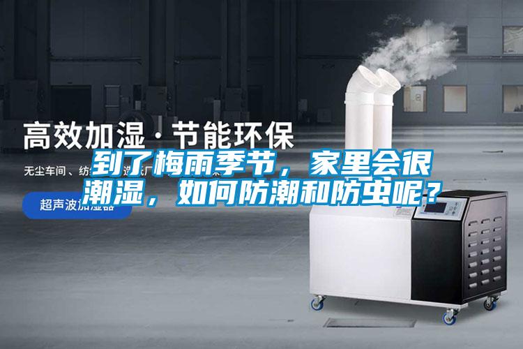 到了梅雨季节，家里会很潮湿，如何防潮和防虫呢？