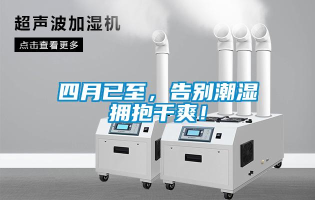 四月已至，告别潮湿拥抱干爽！