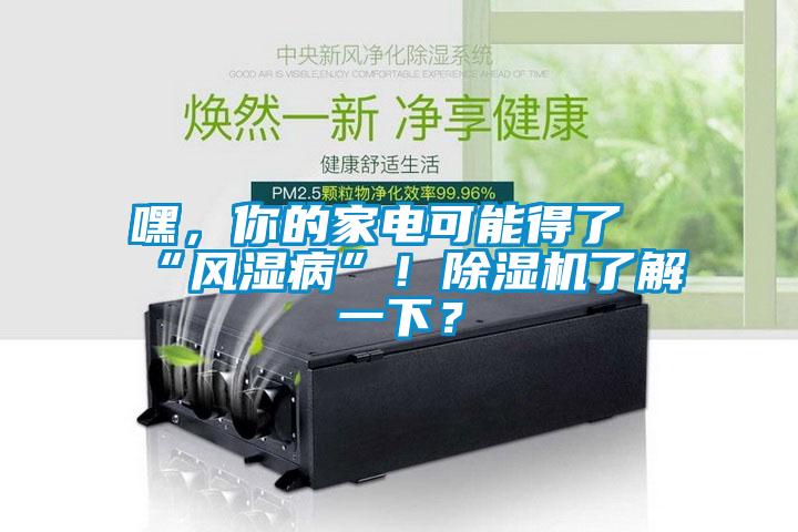 嘿，你的家电可能得了“风湿病”！除湿机了解一下？