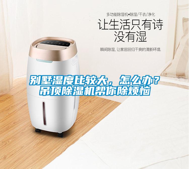 别墅湿度比较大，怎么办？吊顶除湿机帮你除烦恼