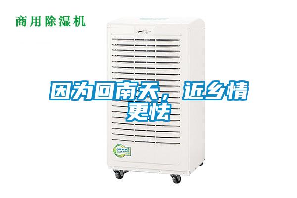 因为回南天，近乡情更怯