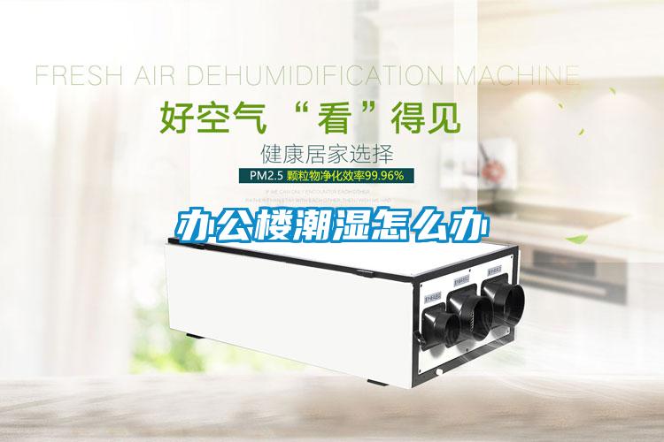 办公楼潮湿怎么办