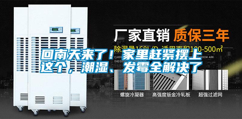 回南天来了！家里赶紧摆上这个，潮湿、发霉全解决了