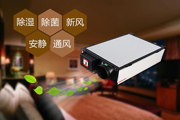 只有做好品牌，除湿机企业才能更长久