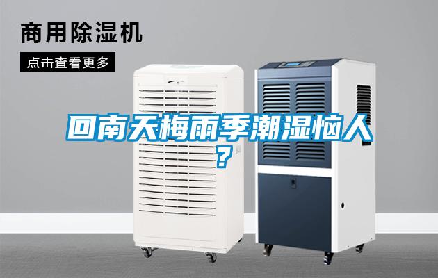回南天梅雨季潮湿恼人？