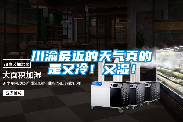 川渝最近的天气真的是又冷！又湿！