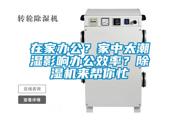 在家办公？家中太潮湿影响办公效率？除湿机来帮你忙