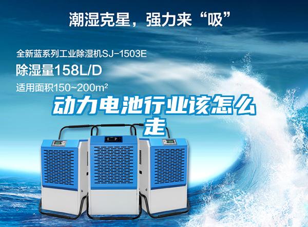 动力电池行业该怎么走