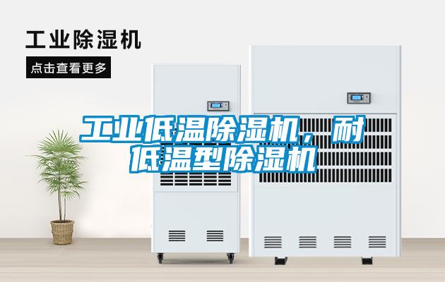 工业低温除湿机，耐低温型除湿机