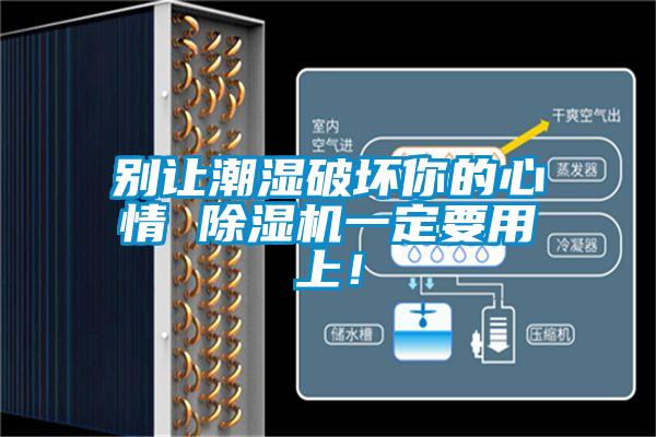 别让潮湿破坏你的心情 除湿机一定要用上！
