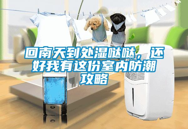 回南天到处湿哒哒，还好我有这份室内防潮攻略