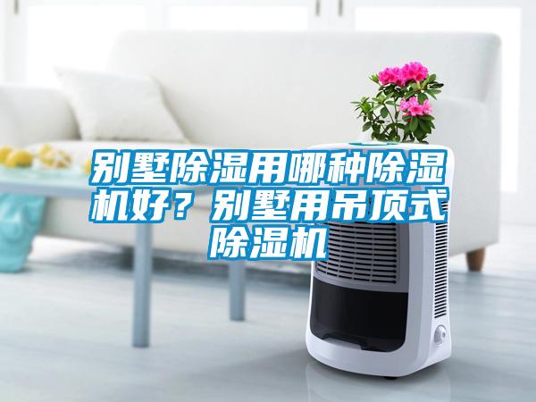 别墅除湿用哪种除湿机好？别墅用吊顶式除湿机