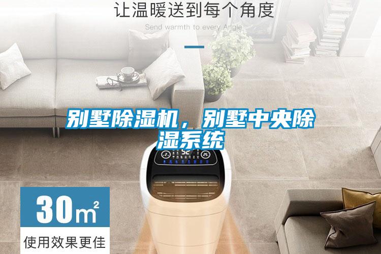 别墅除湿机，别墅中央除湿系统