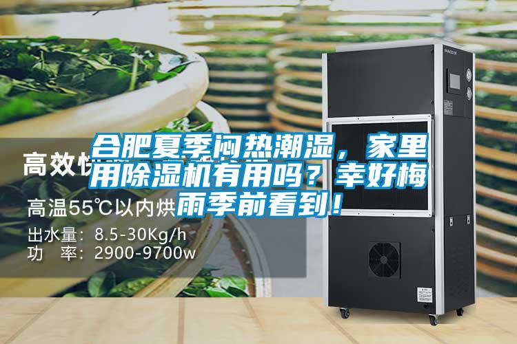 合肥夏季闷热潮湿，家里用除湿机有用吗？幸好梅雨季前看到！