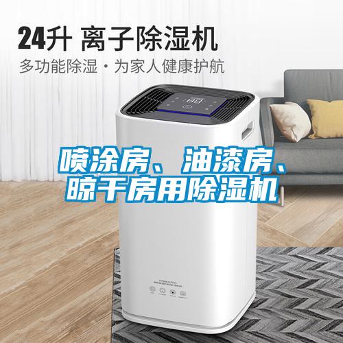喷涂房、油漆房、晾干房用除湿机