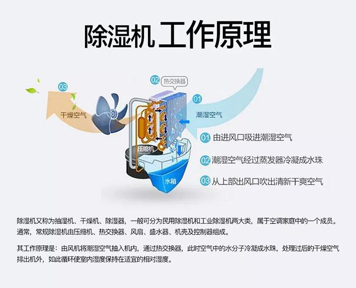 南有“湿冷”北有“雾霾”该咋办？