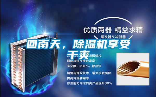 回南天，除湿机享受干爽