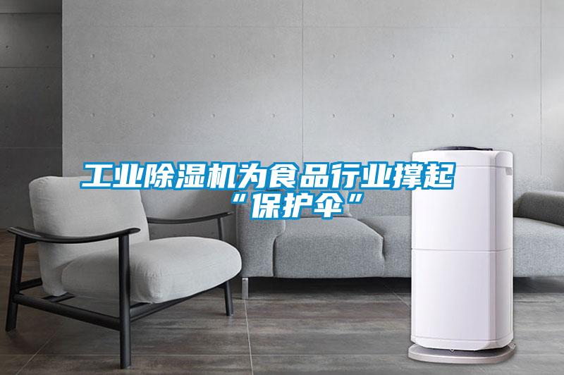 工业除湿机为食品行业撑起“?；ど　?/></p>
						    <p style=
