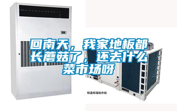 回南天，我家地板都长蘑菇了，还去什么菜市场呀