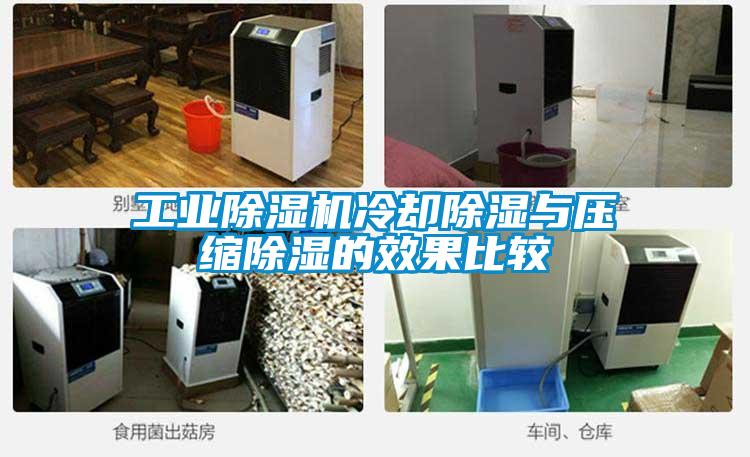 工业除湿机冷却除湿与压缩除湿的效果比较
