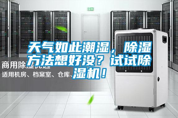天气如此潮湿，除湿方法想好没？试试除湿机！