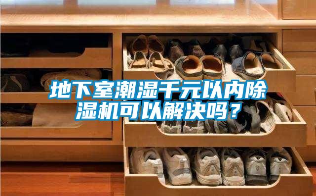 地下室潮湿千元以内除湿机可以解决吗？