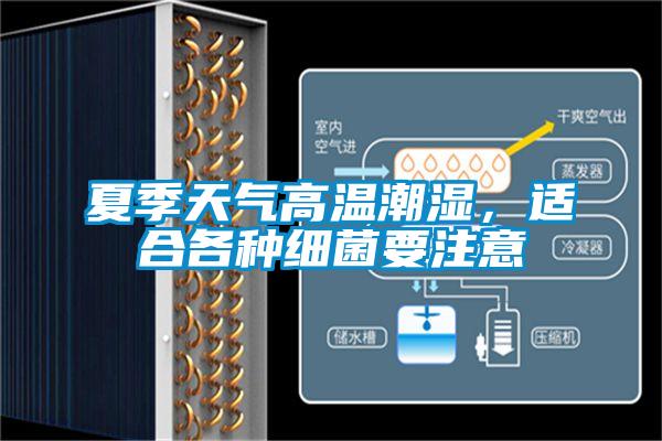 夏季天气高温潮湿，适合各种细菌要注意