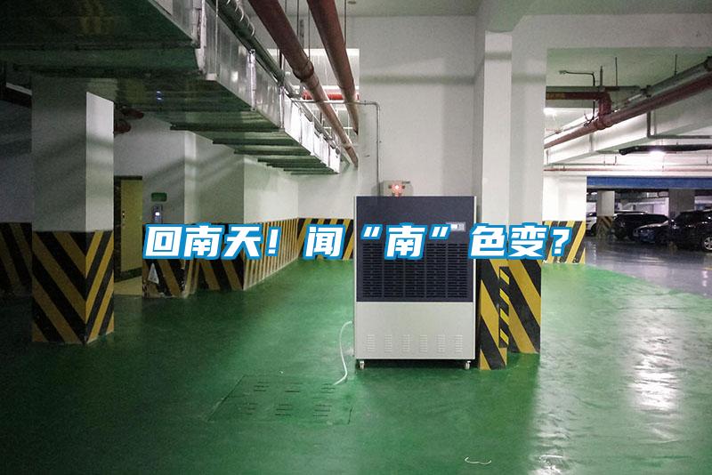 回南天！闻“南”色变？