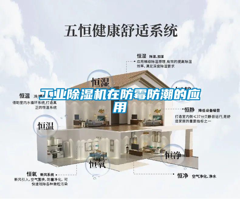 工业除湿机在防霉防潮的应用