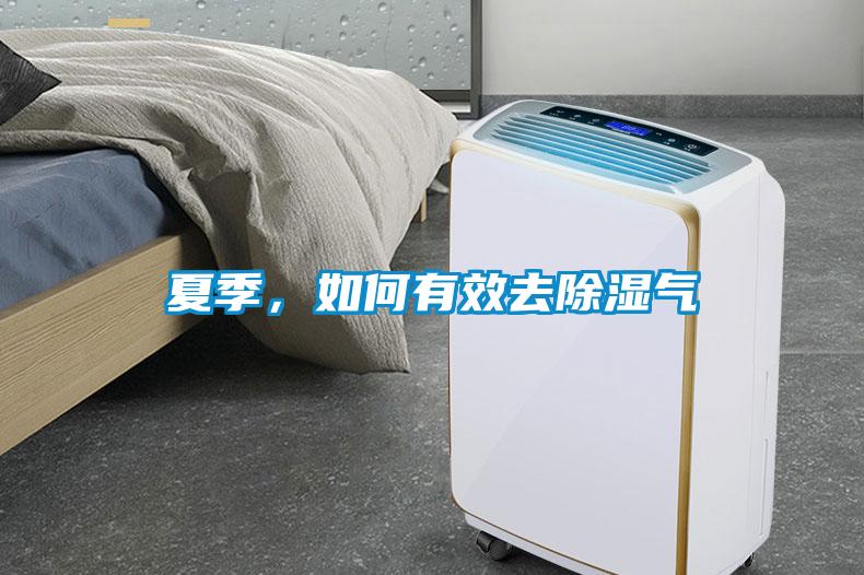 夏季，如何有效去除湿气