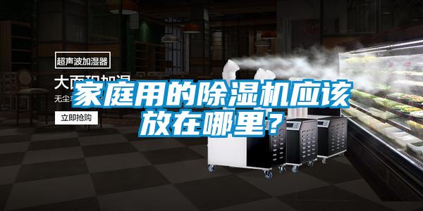 家庭用的除湿机应该放在哪里？