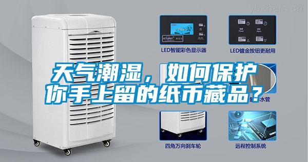 天气潮湿，如何保护你手上留的纸币藏品？
