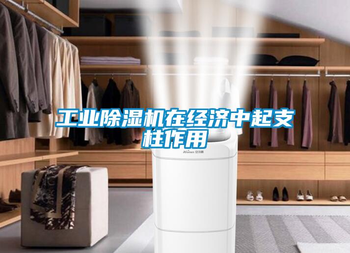工业除湿机在经济中起支柱作用