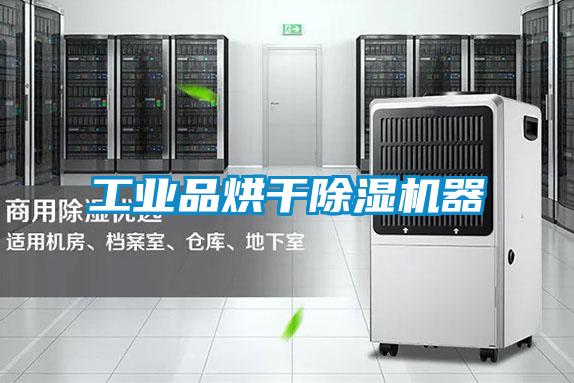 工业品烘干除湿机器