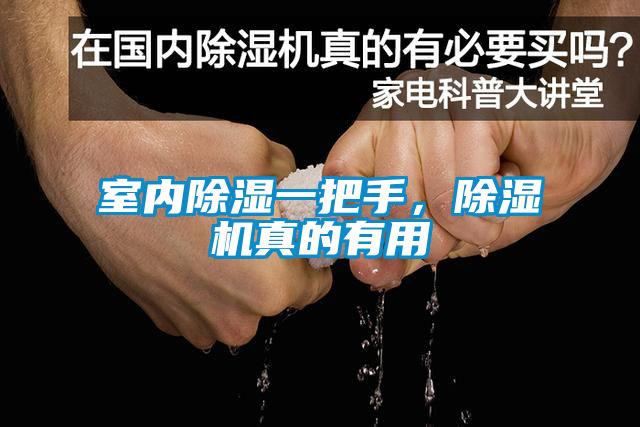 室内除湿一把手，除湿机真的有用