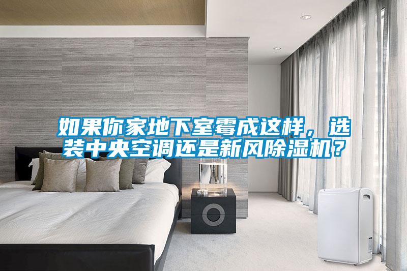 如果你家地下室霉成这样，选装中央空调还是新风除湿机？