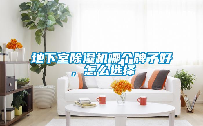 地下室除湿机哪个牌子好，怎么选择