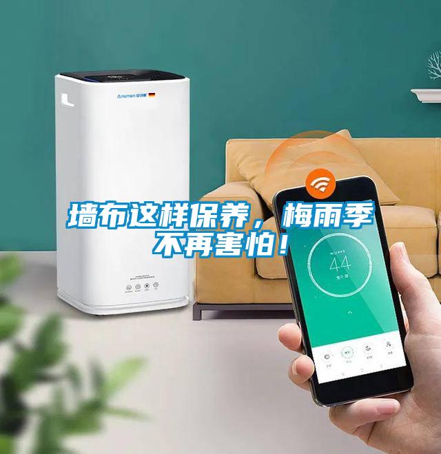 墙布这样保养，梅雨季不再害怕！