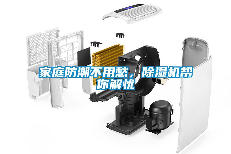 家庭防潮不用愁，除湿机帮你解忧