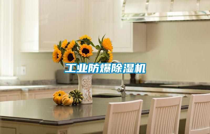 工业防爆除湿机