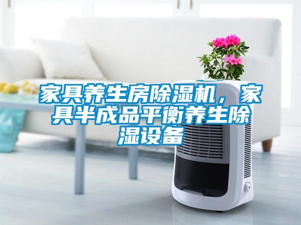 家具养生房除湿机，家具半成品平衡养生除湿设备