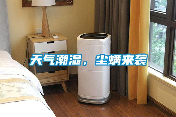 天气潮湿，尘螨来袭