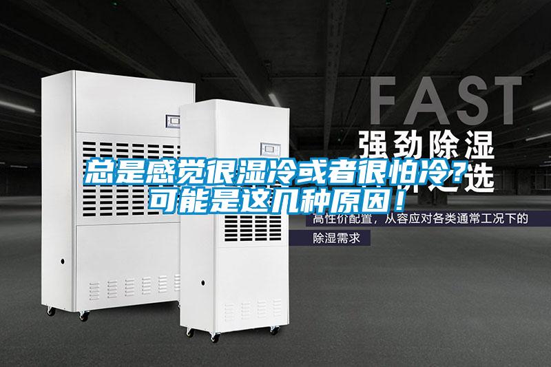 总是感觉很湿冷或者很怕冷？可能是这几种原因！