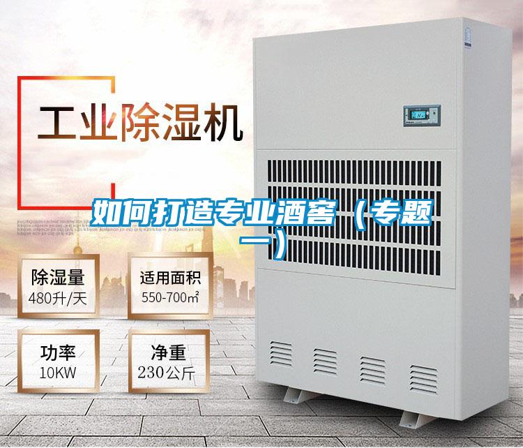 如何打造专业酒窖(专题一)