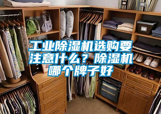 工业除湿机选购要注意什么？除湿机哪个牌子好