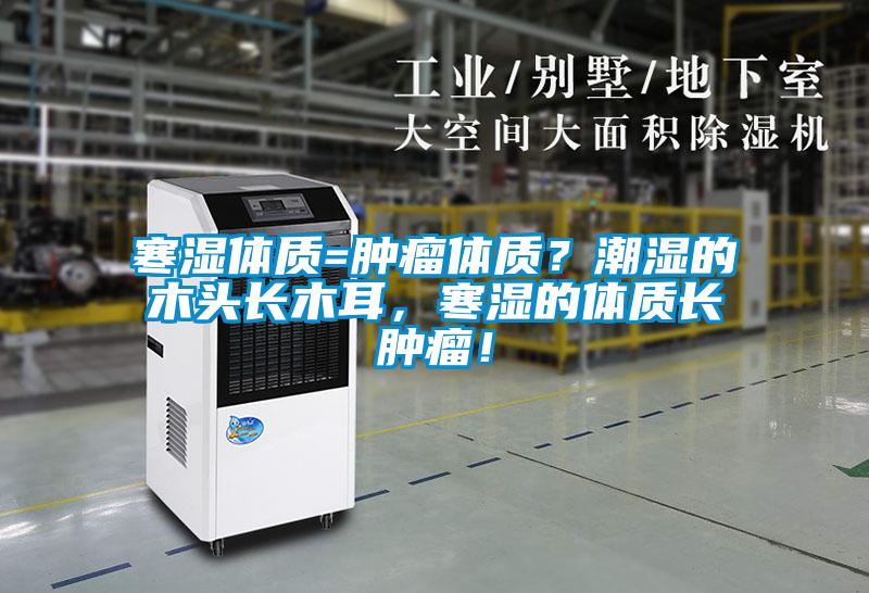 寒湿体质=肿瘤体质？潮湿的木头长木耳，寒湿的体质长肿瘤！