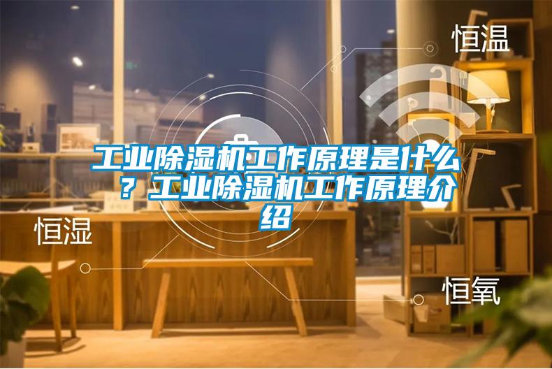 工业除湿机工作原理是什么 ？工业除湿机工作原理介绍