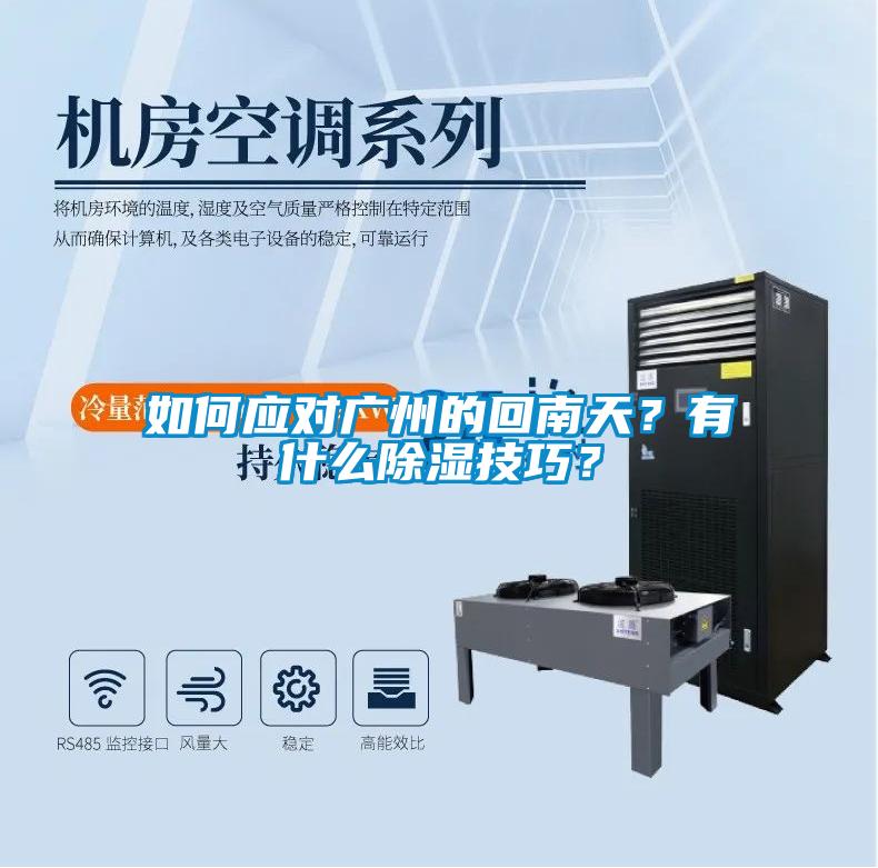 如何应对广州的回南天？有什么除湿技巧？