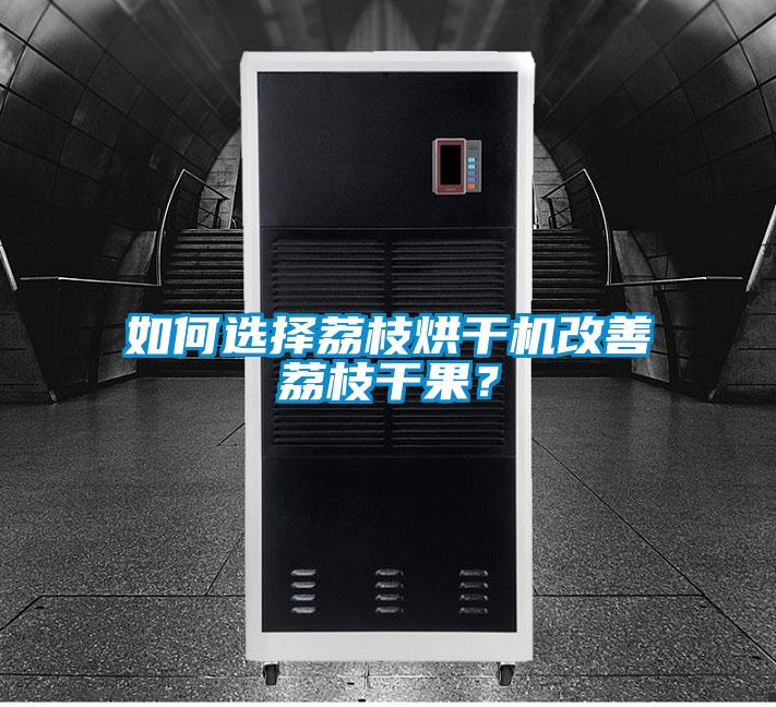 如何选择荔枝烘干机改善荔枝干果？