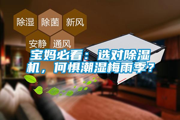 宝妈必看：选对除湿机，何惧潮湿梅雨季？